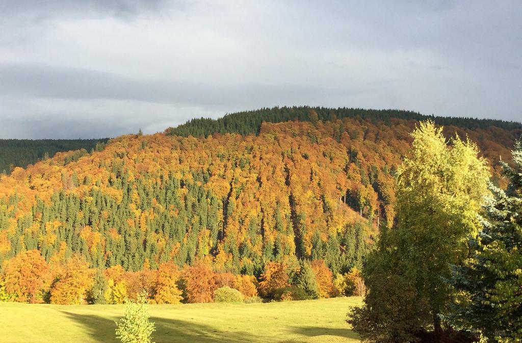 Ferienwohnungen Gehlberg Esterno foto